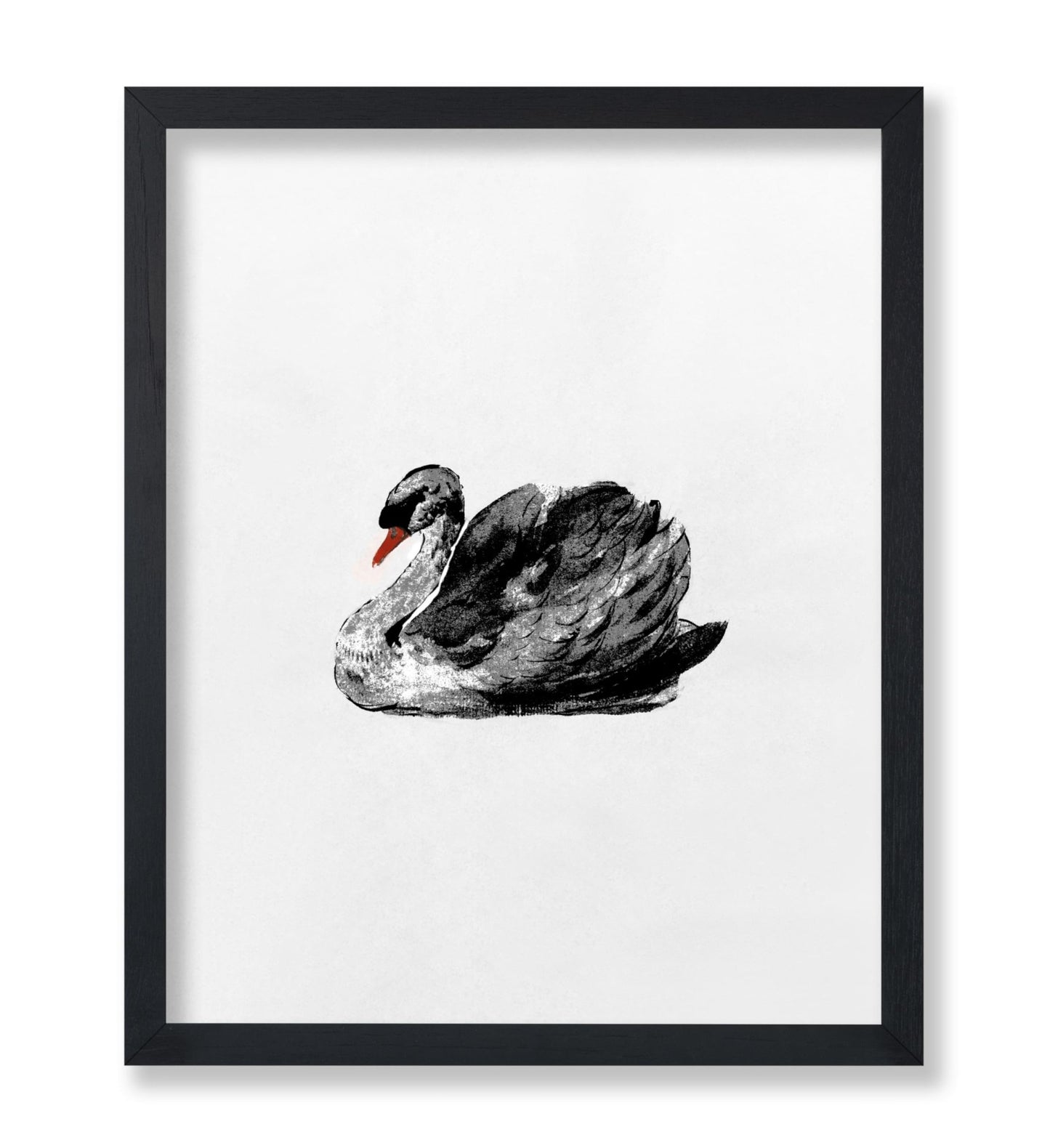 Swan Portrait No2