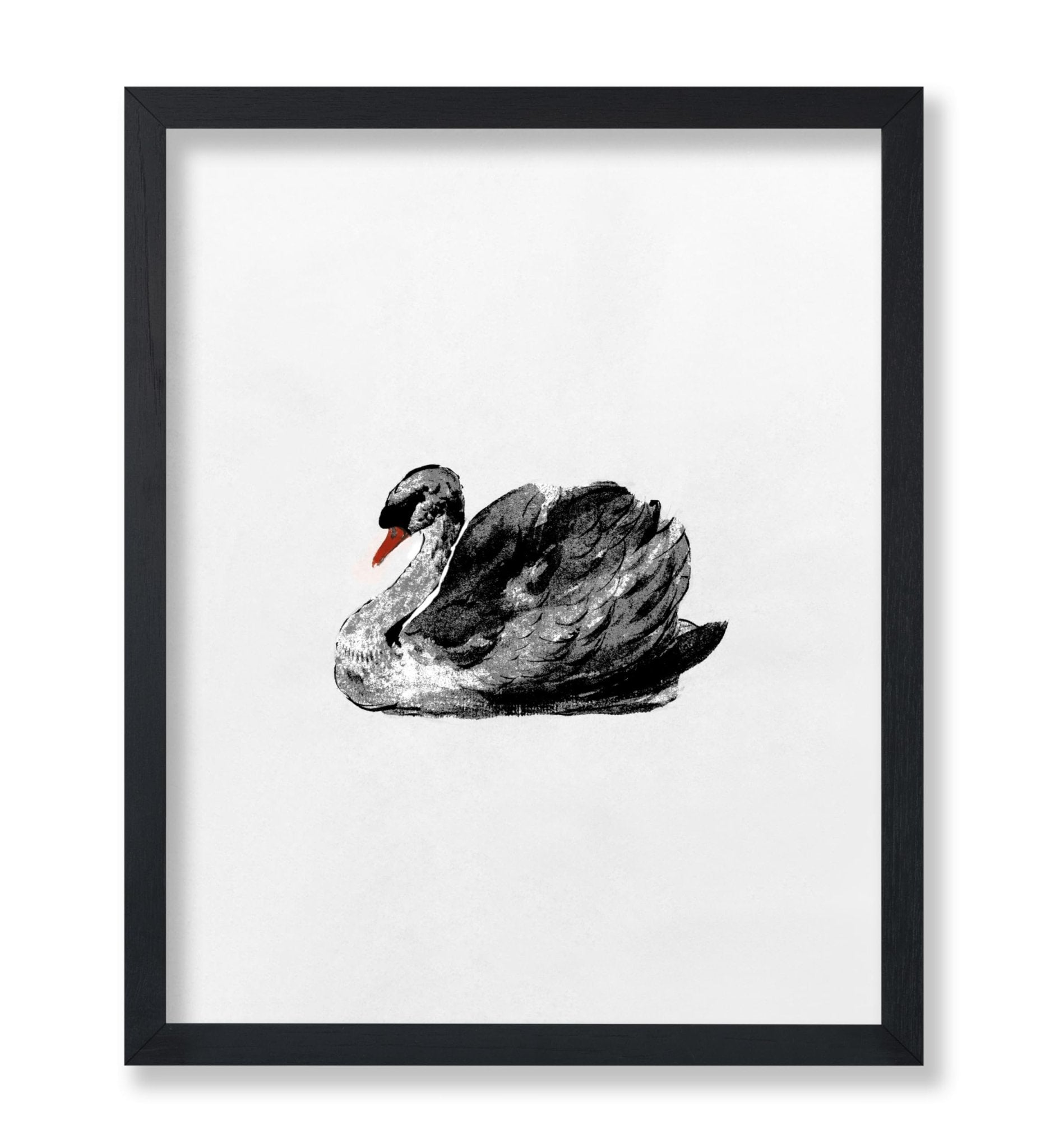 Swan Portrait No2