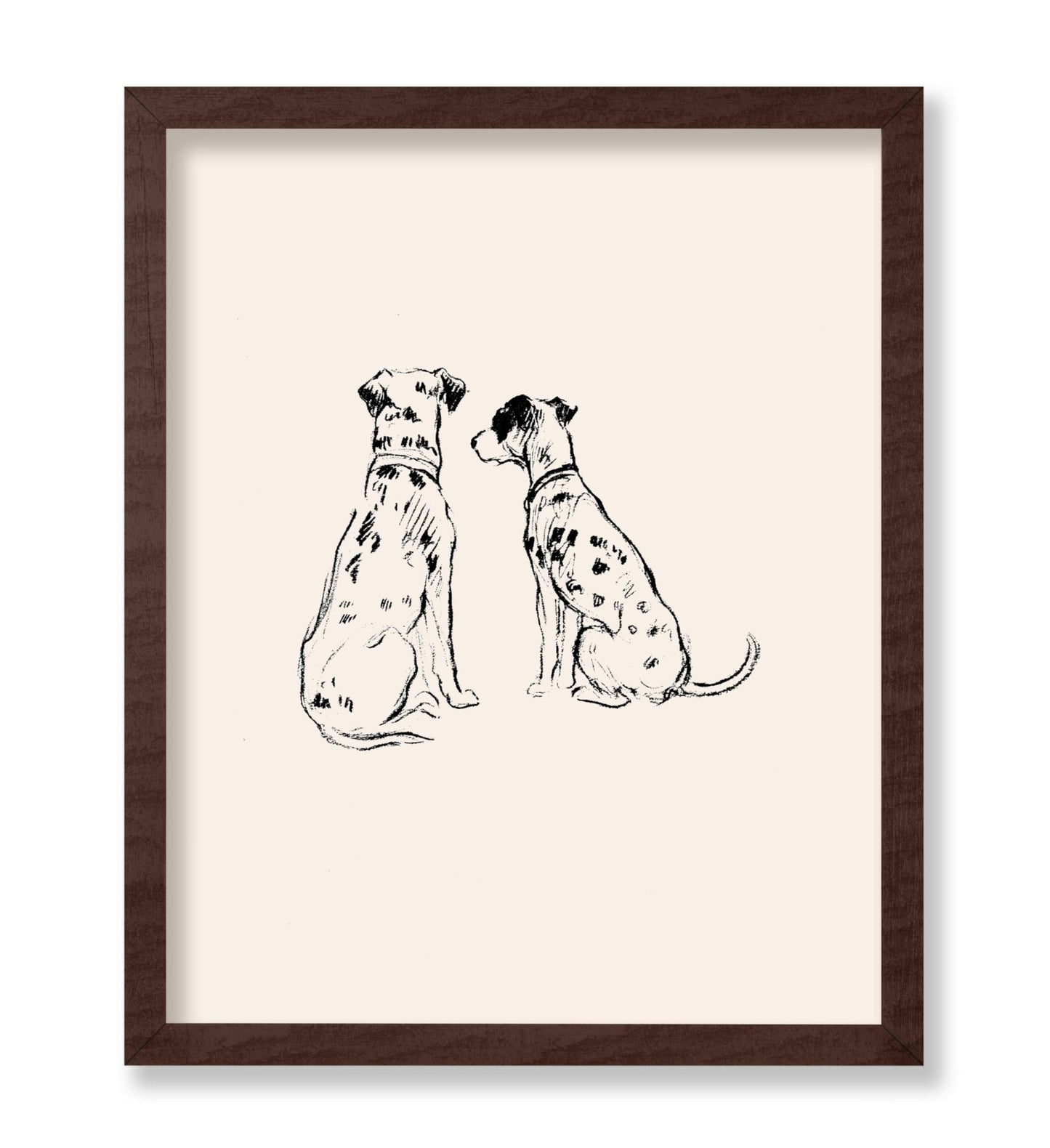 Two Dalmatians