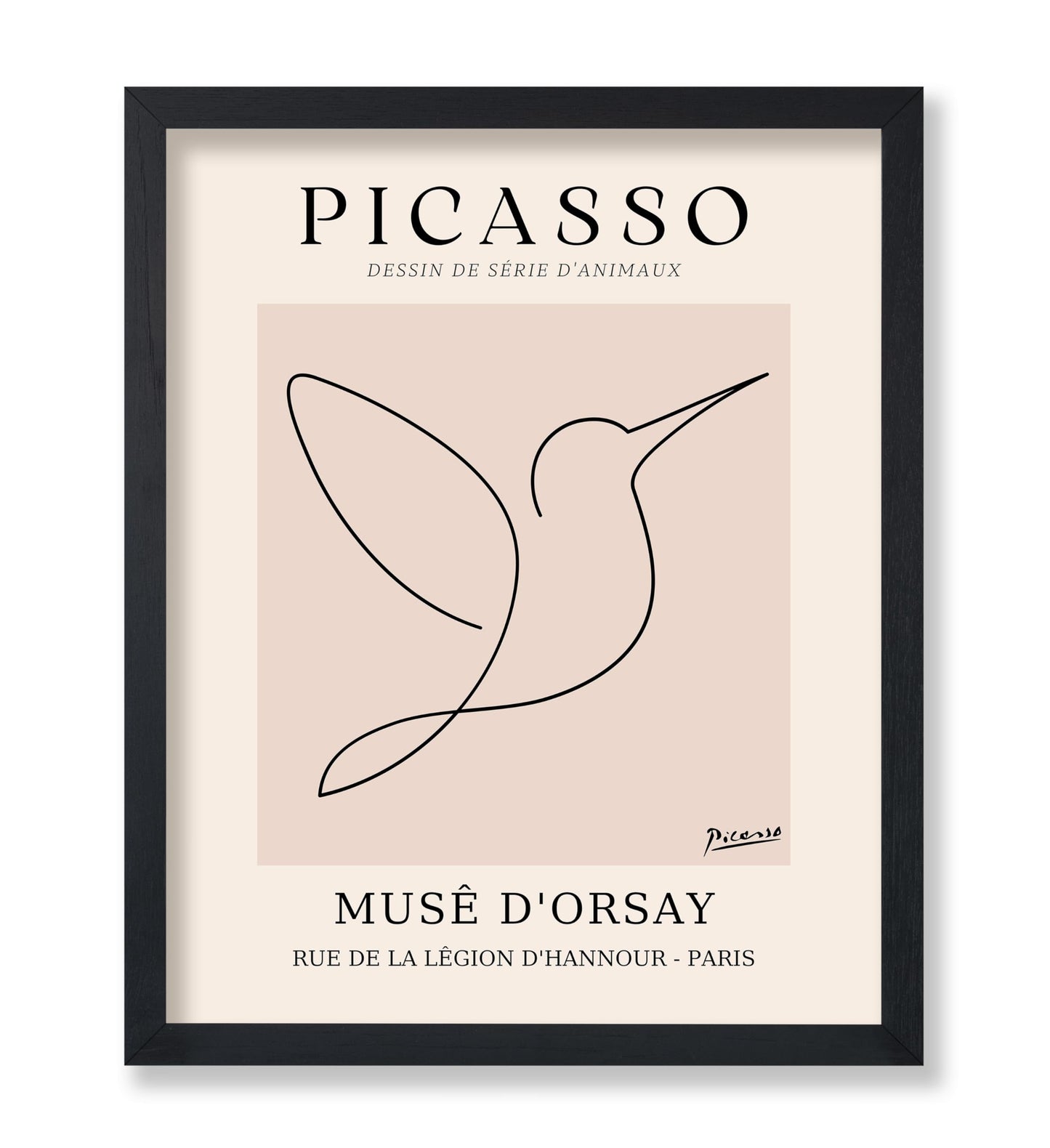 Picasso - One Line Hummingbird Drawing