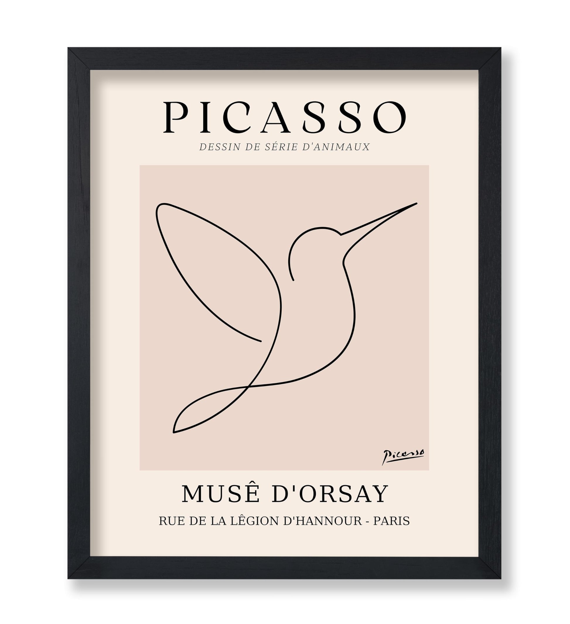 Picasso - One Line Hummingbird Drawing