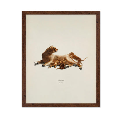 Lion & Cub