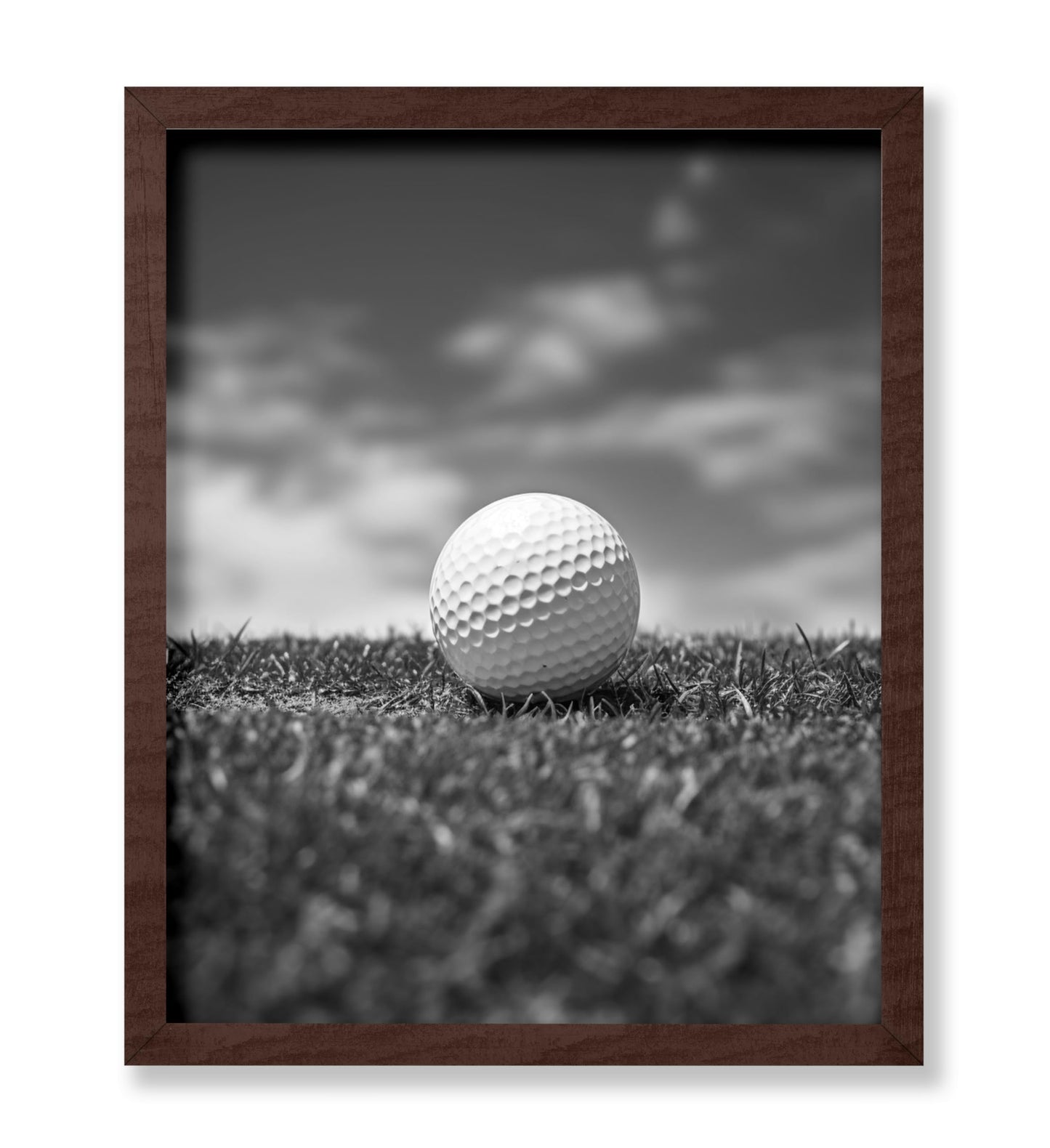 Golf Ball on a Field No1