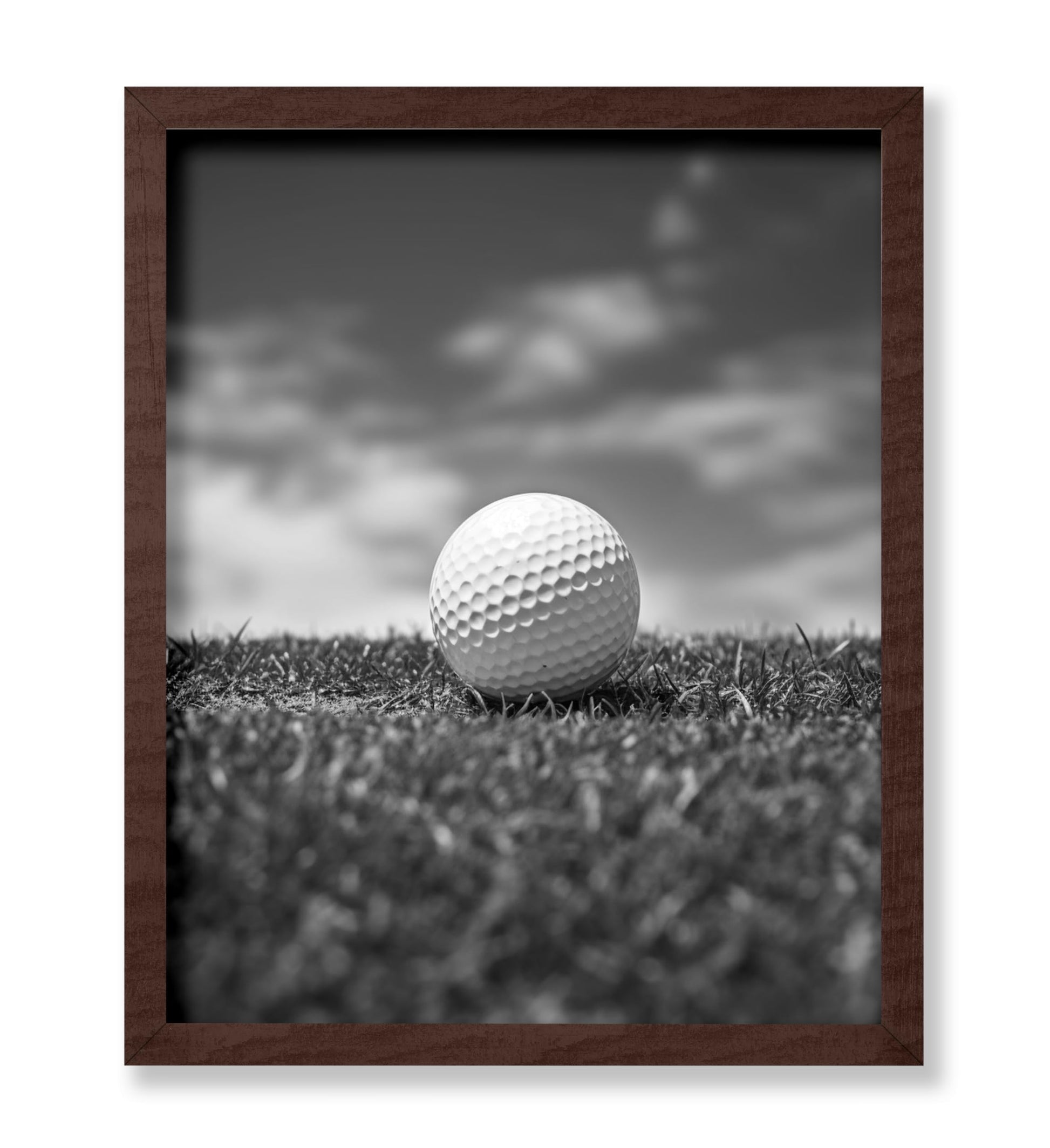Golf Ball on a Field No1