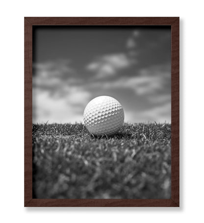 Golf Ball on a Field No1