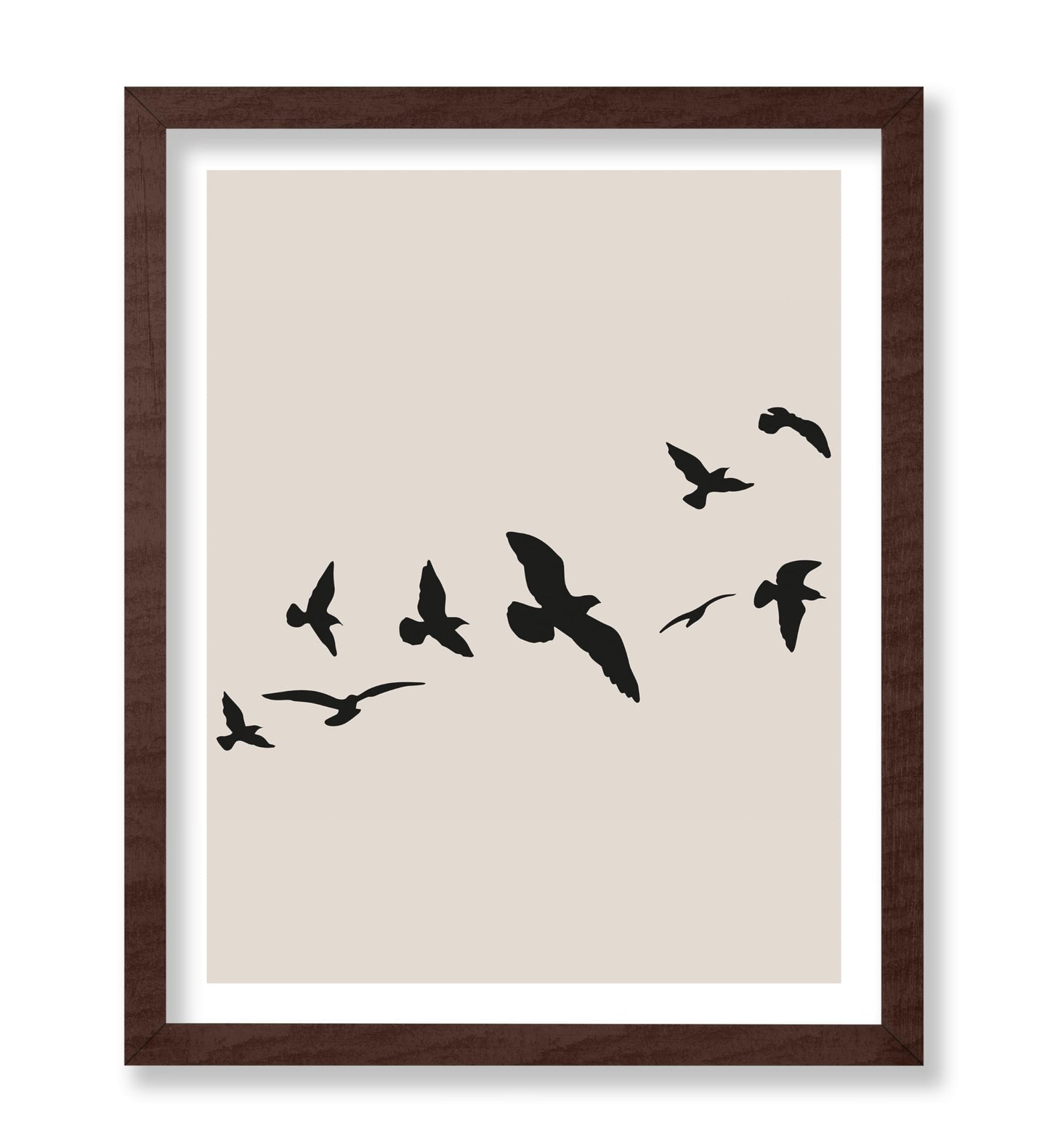 Flying Birds Silhouette