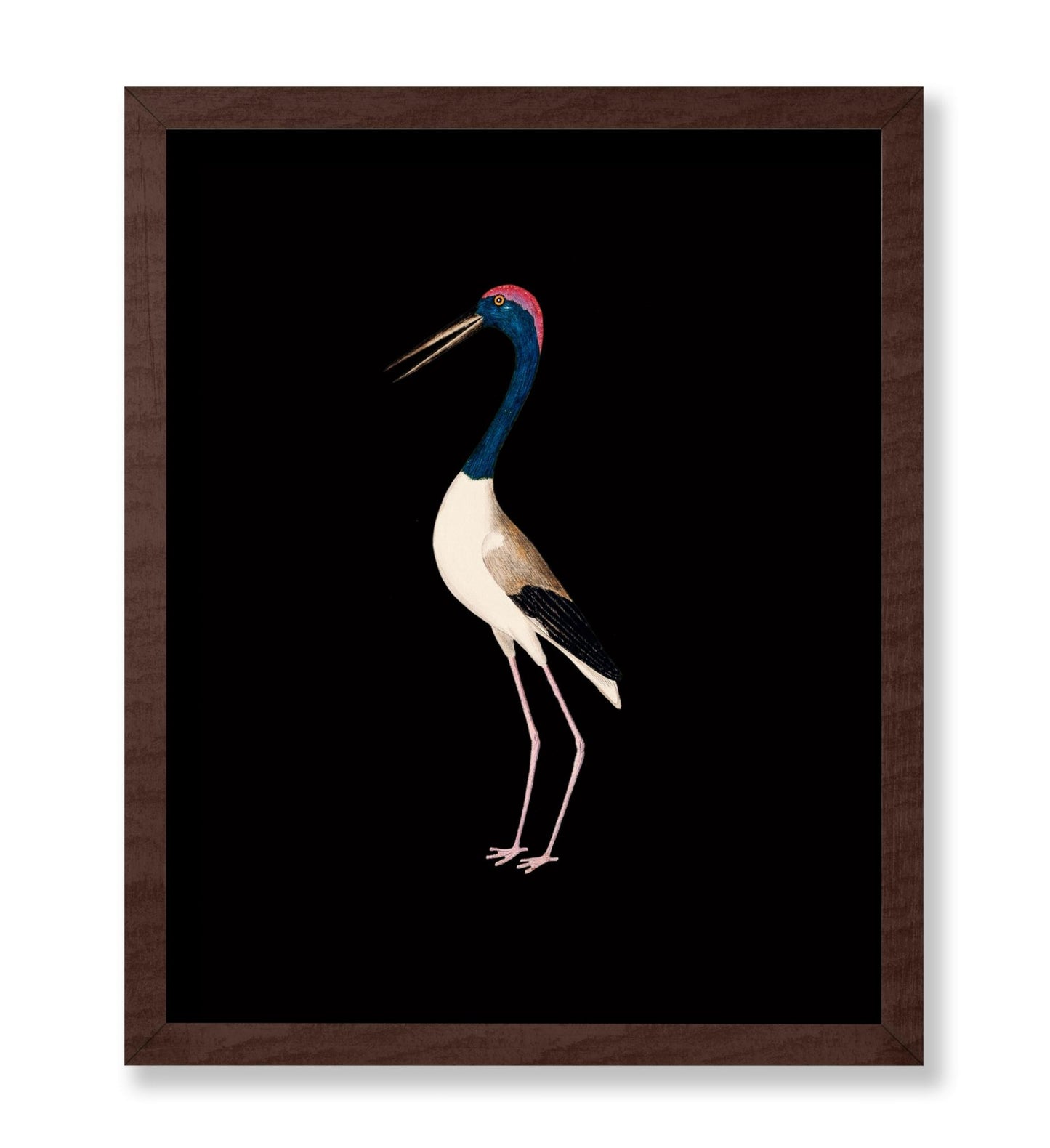 Crane Bird No1