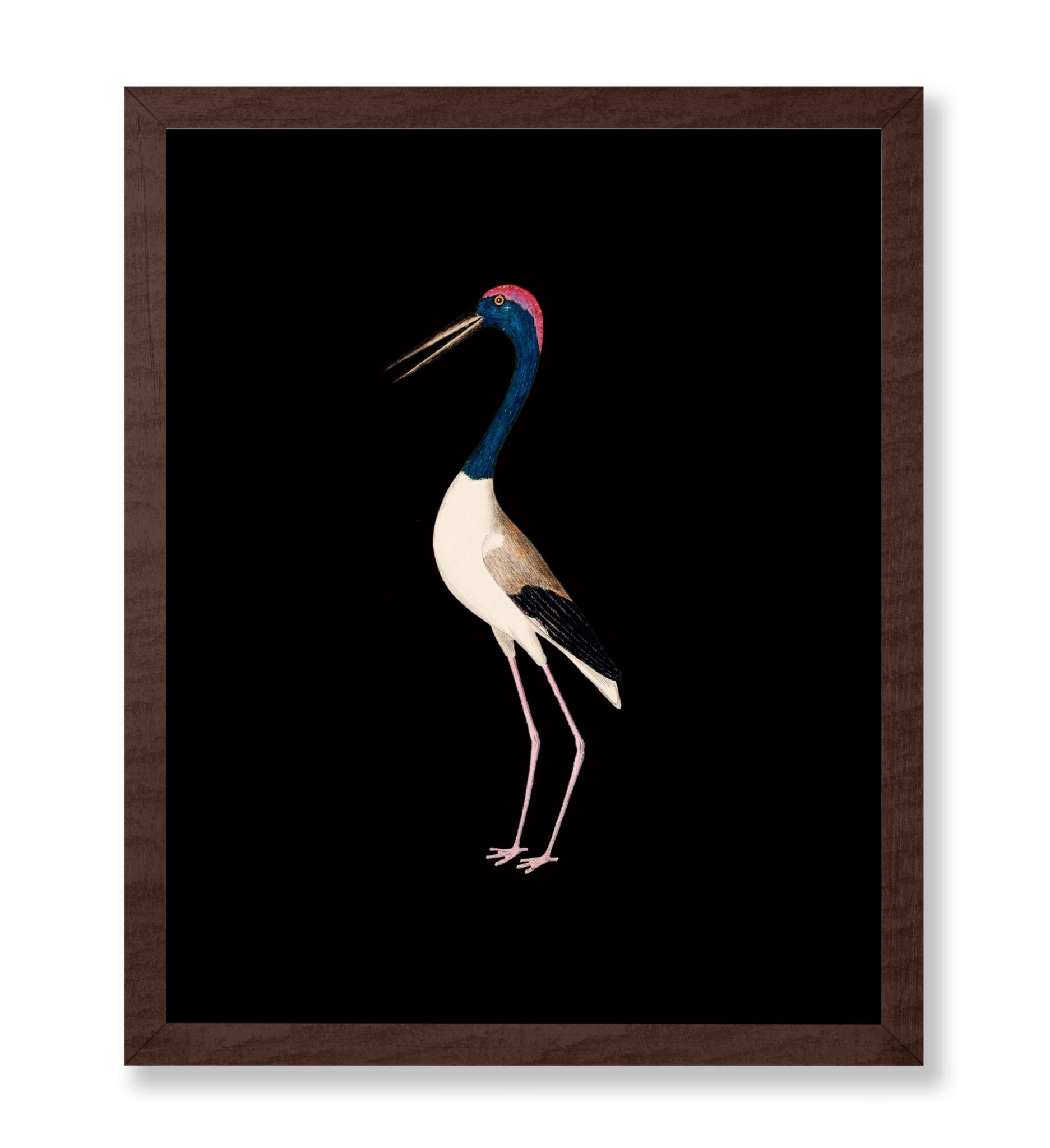 Crane Bird No1
