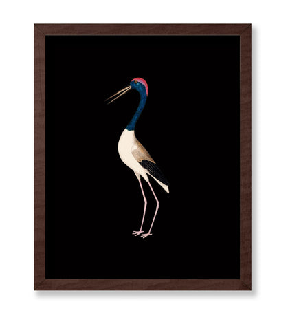 Crane Bird No1