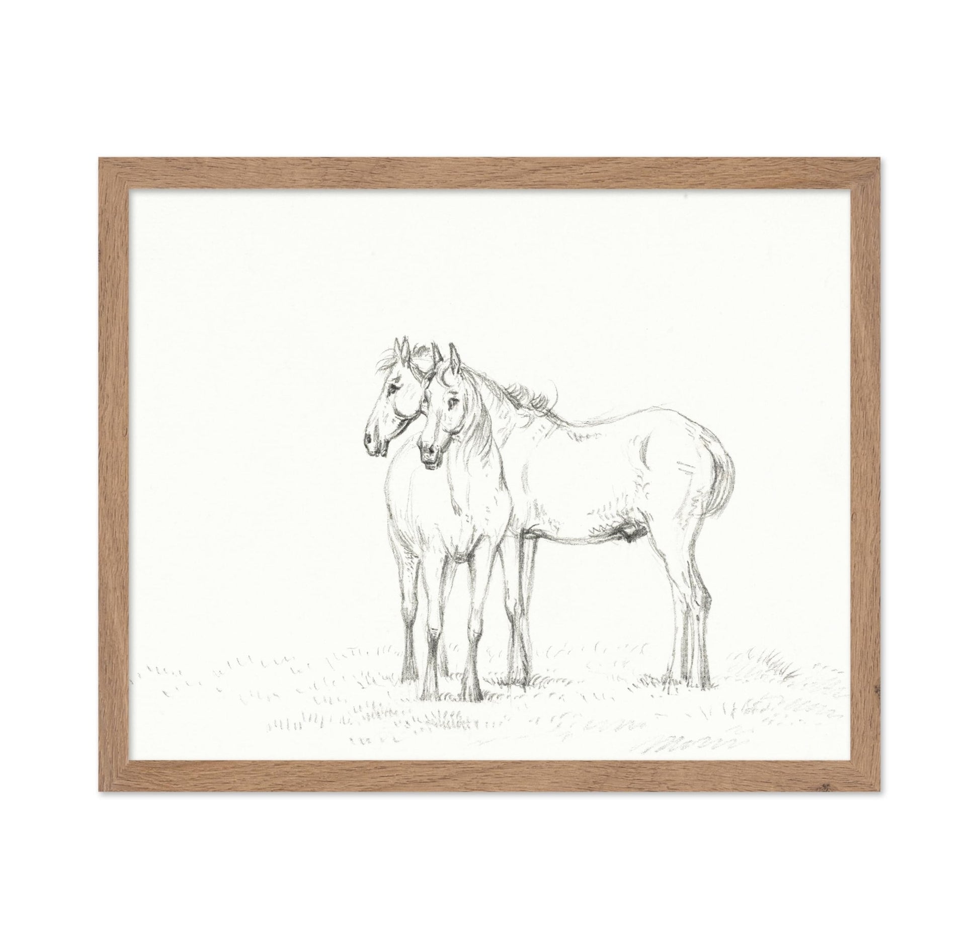 Two Horses Sketch
