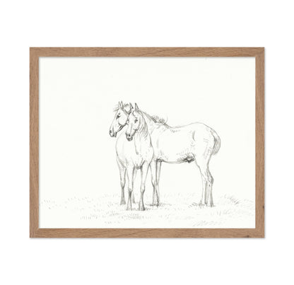 Two Horses Sketch
