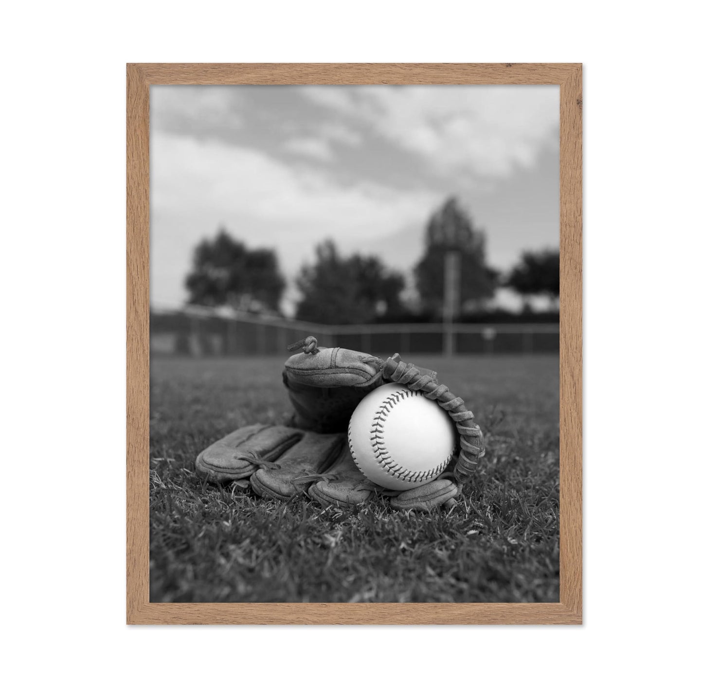 Baseball Glove