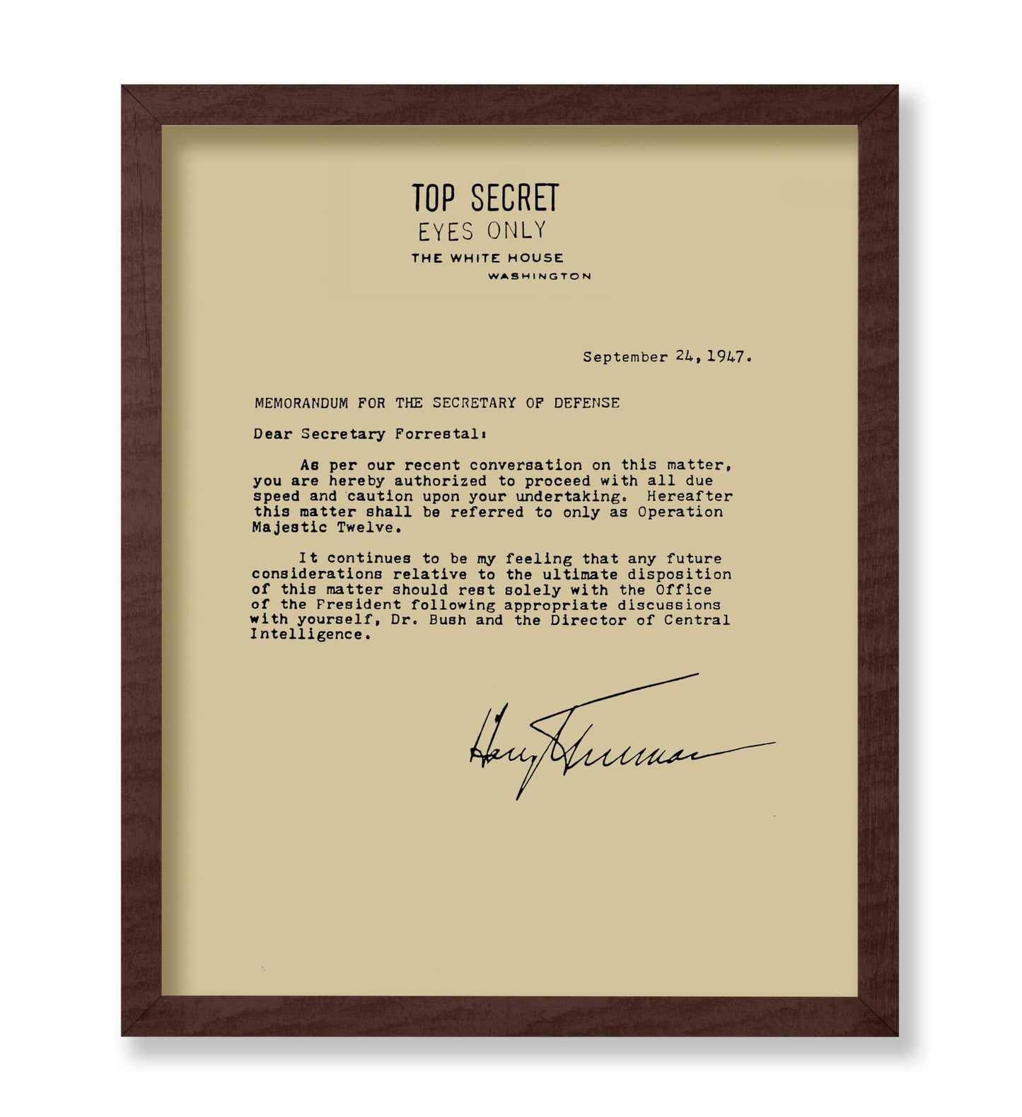 Memorandum For The Secretary