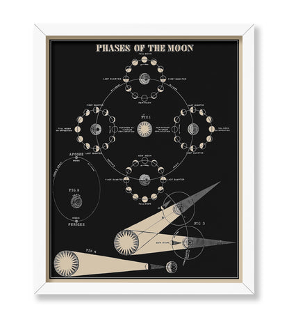 Phases of the Moon No1