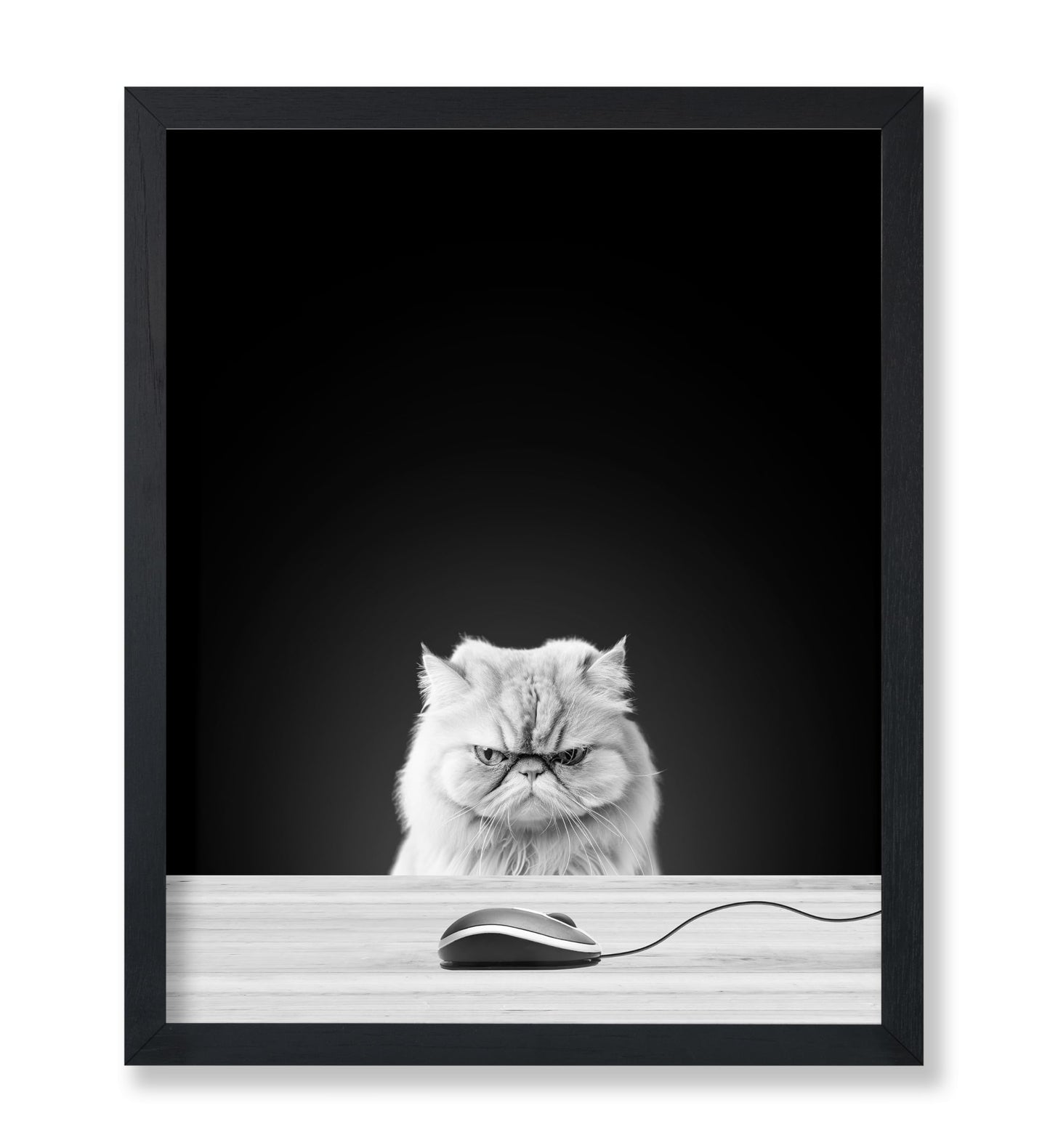 Angry Cat