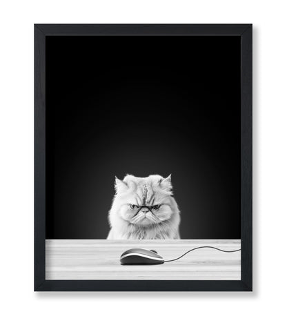 Angry Cat
