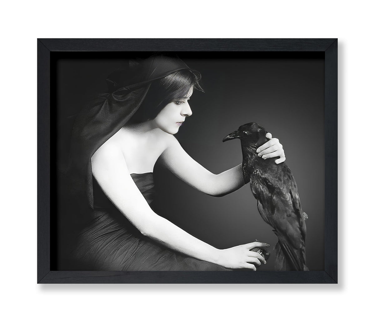 Black Raven