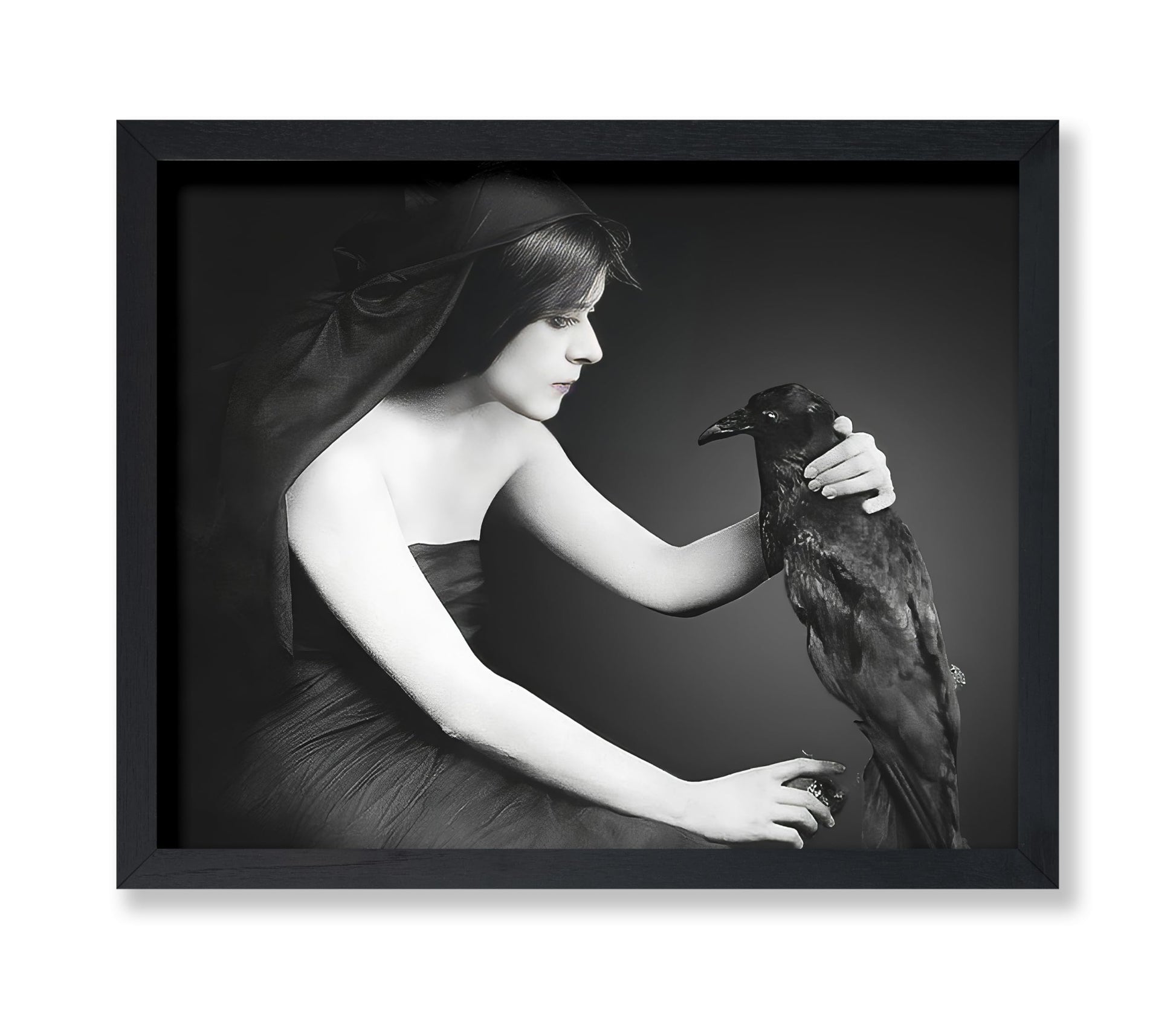 Black Raven