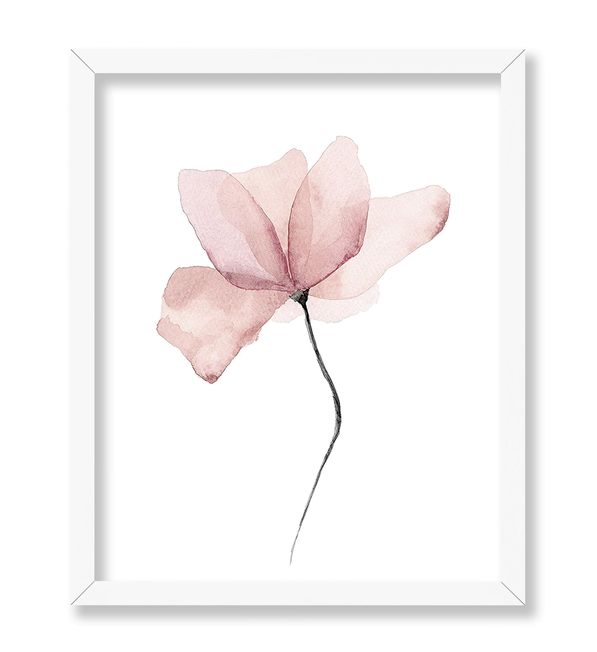 Pink Flower No1
