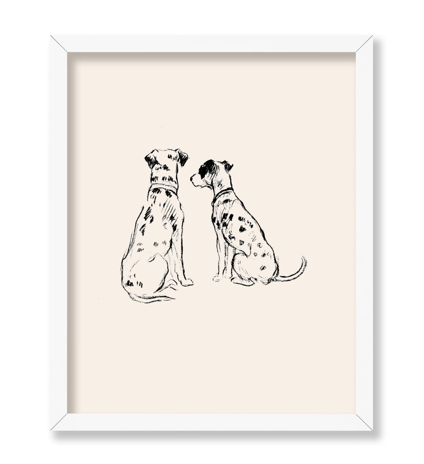 Two Dalmatians