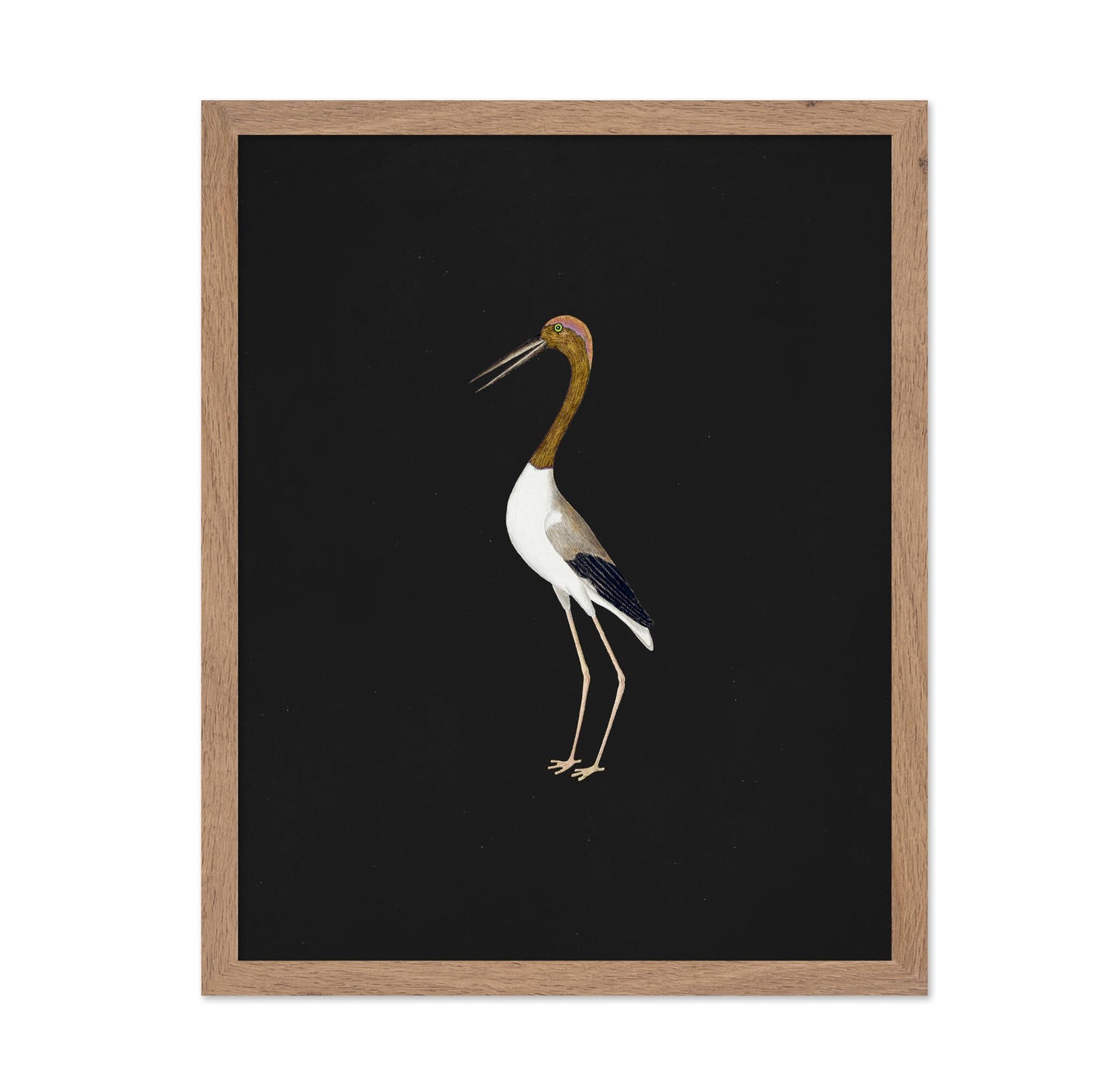 Crane Bird No2