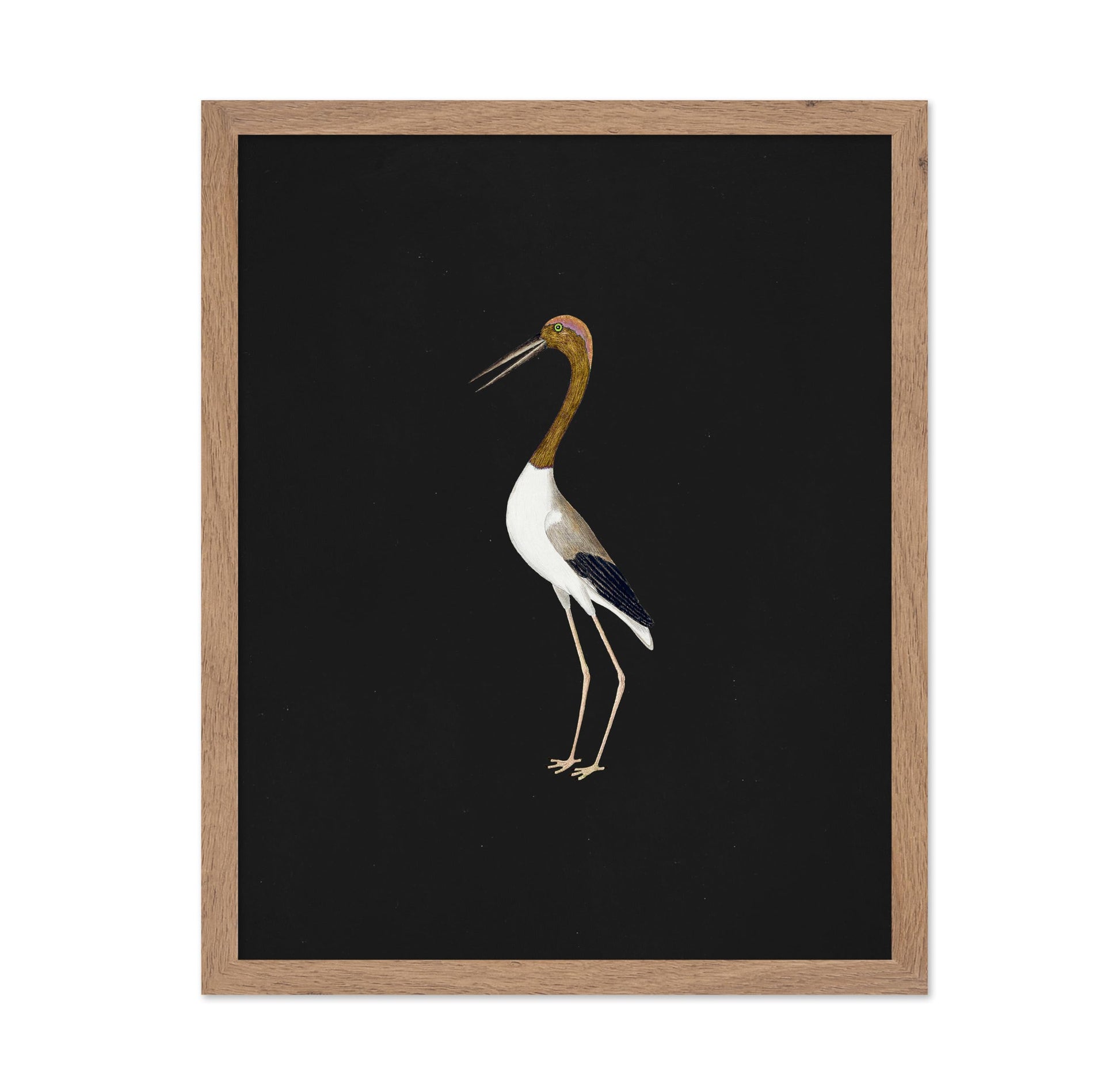 Crane Bird No2