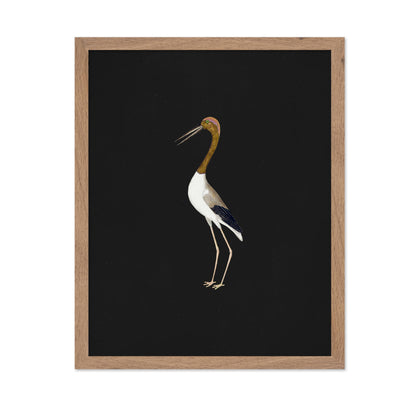 Crane Bird No2