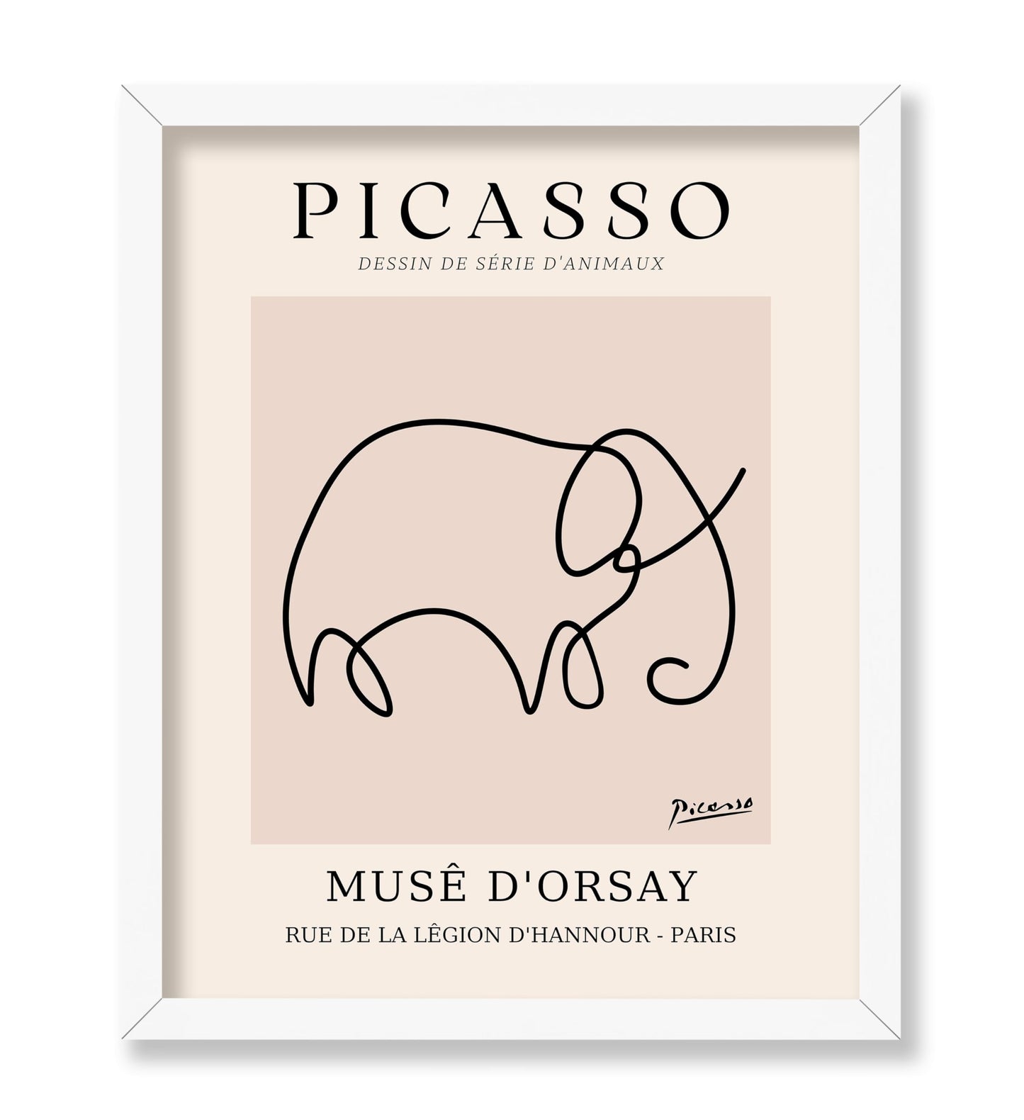 Picasso - One Line Elephant Drawing