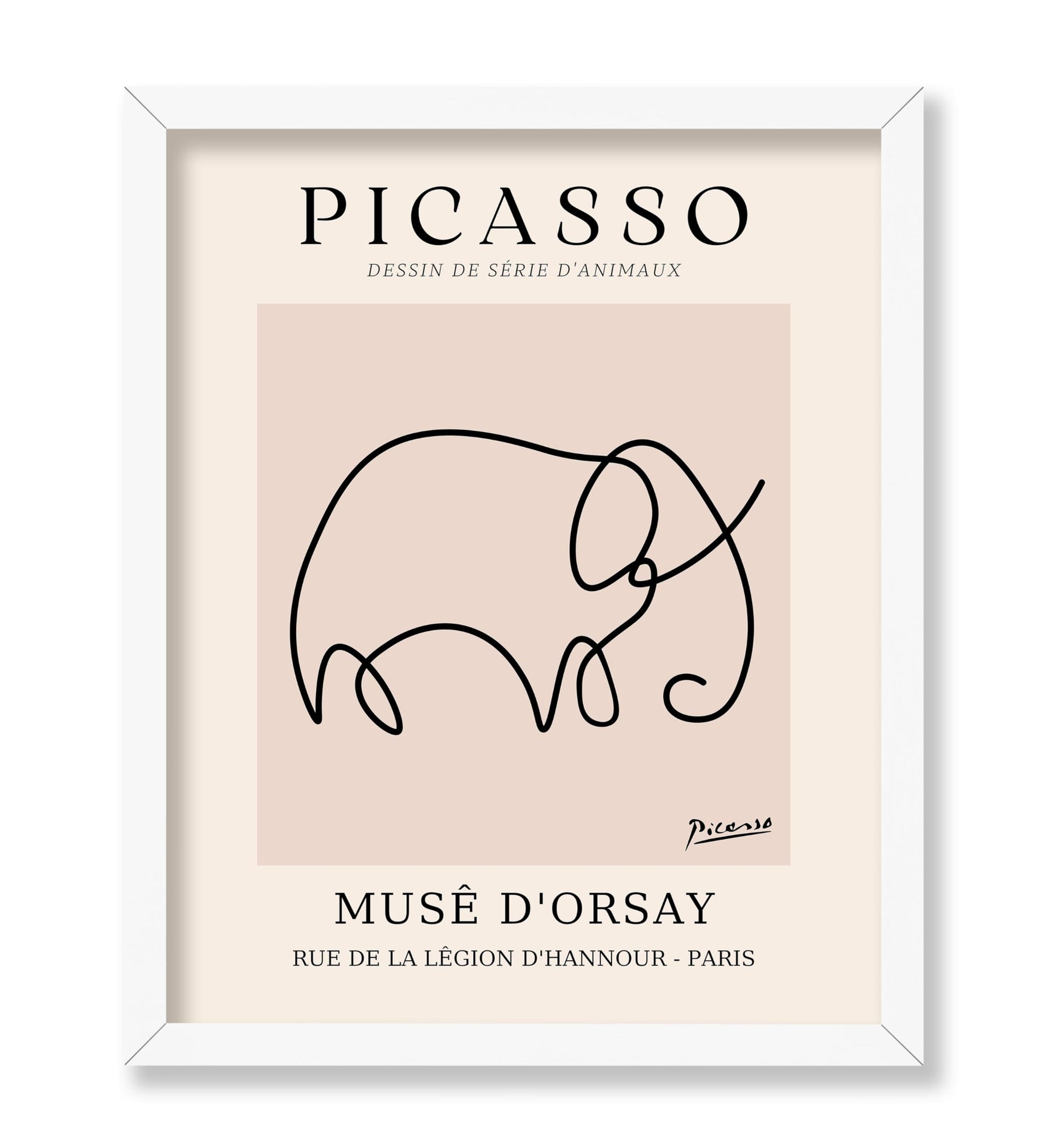 Picasso - One Line Elephant Drawing