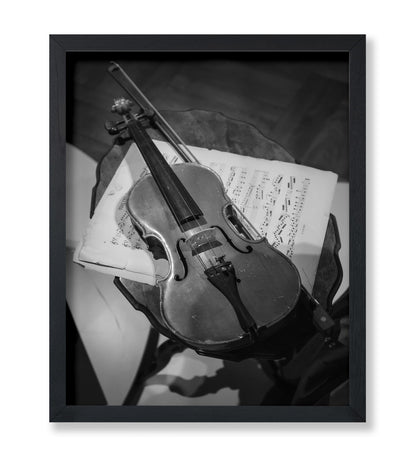 Violin Photography