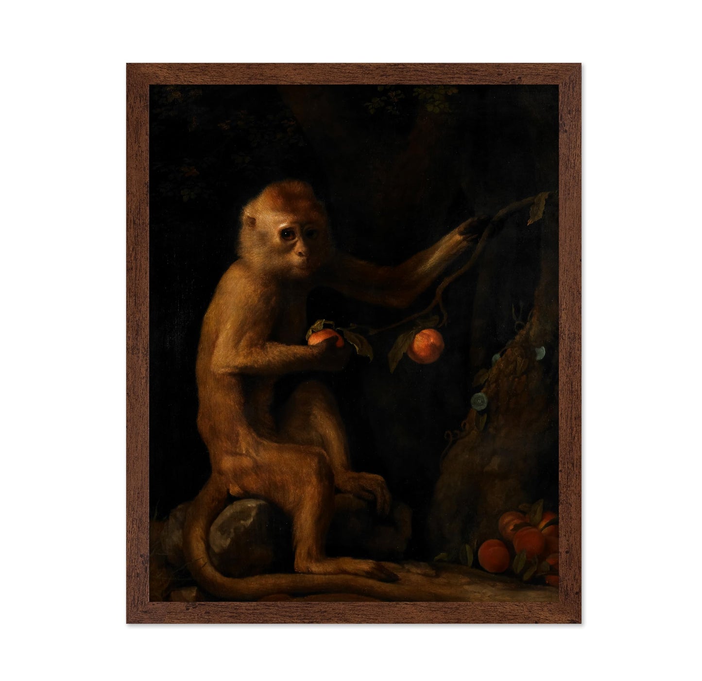 A Monkey