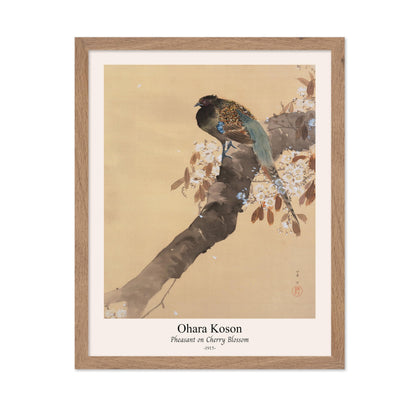 Ohara Koson - Pheasant on Cherry Blossom