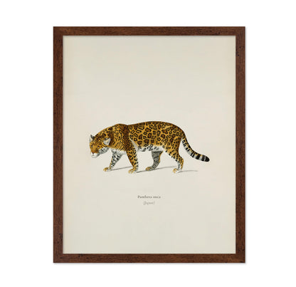 Panther Portrait