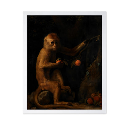 A Monkey