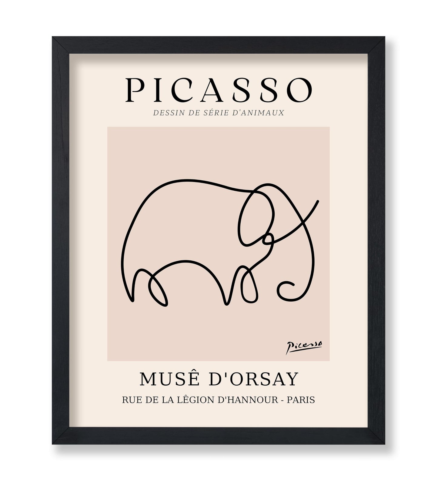 Picasso - One Line Elephant Drawing