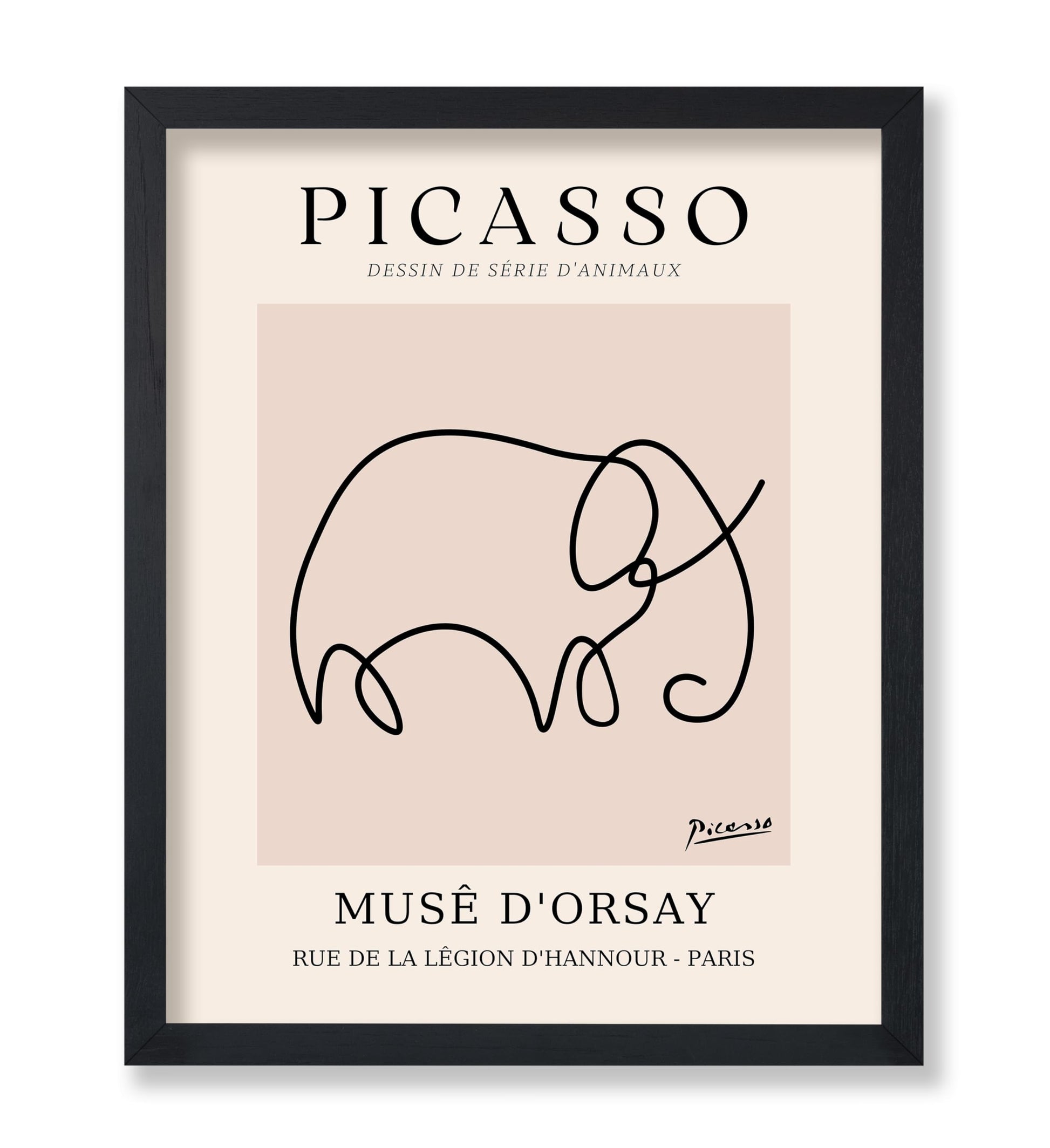 Picasso - One Line Elephant Drawing