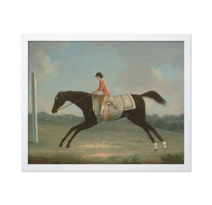 Boy Riding Sultana