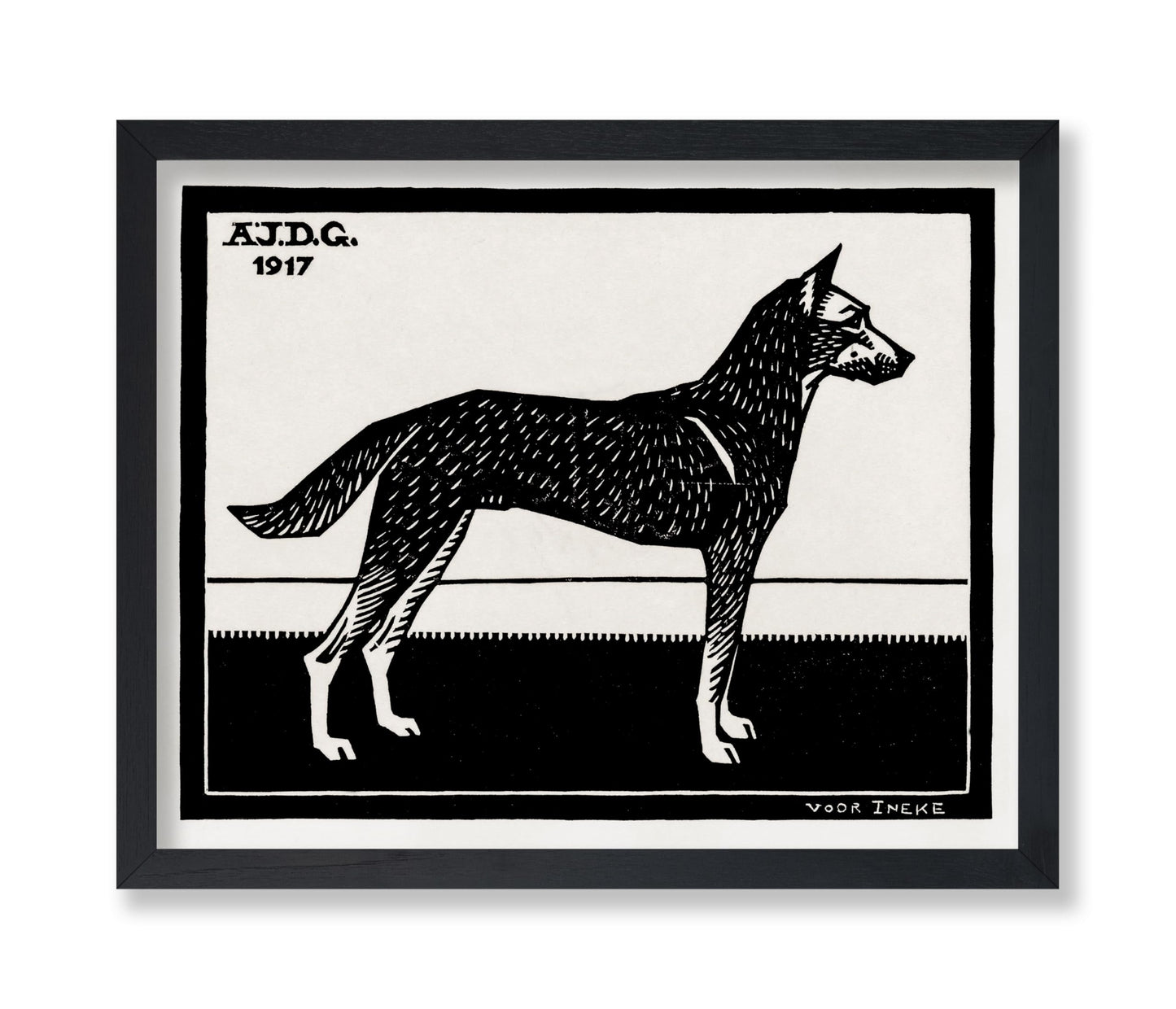 Black & White Dog