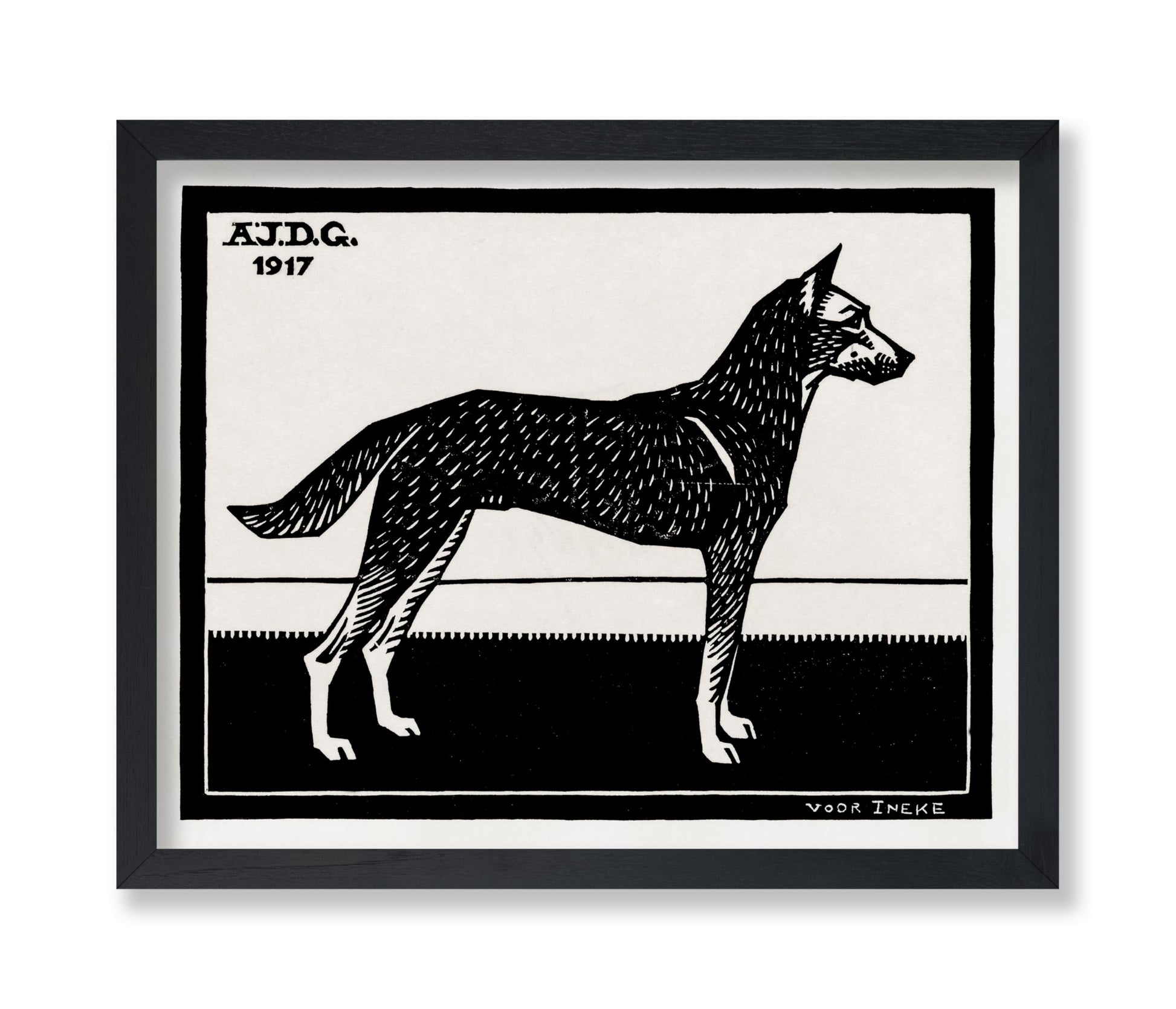 Black & White Dog