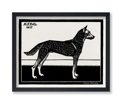 Black & White Dog