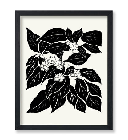 Abstract Plant Illustration