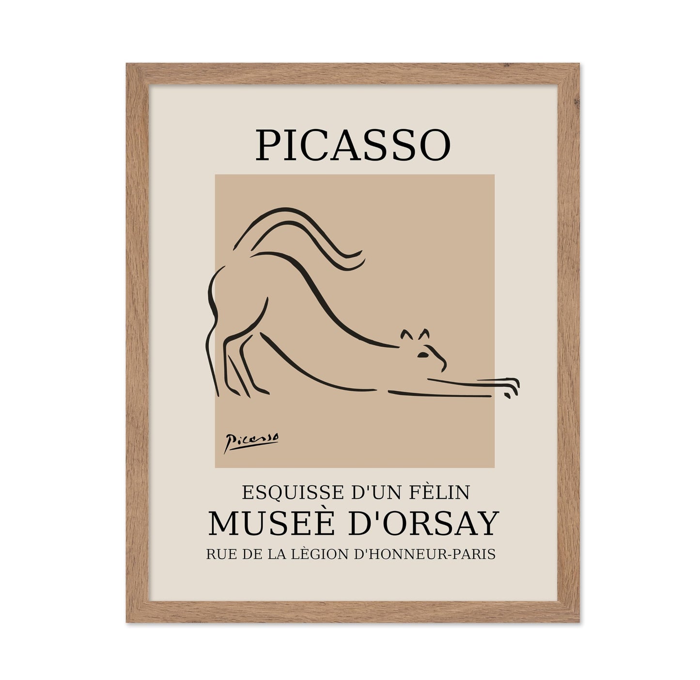 Picasso - Cat