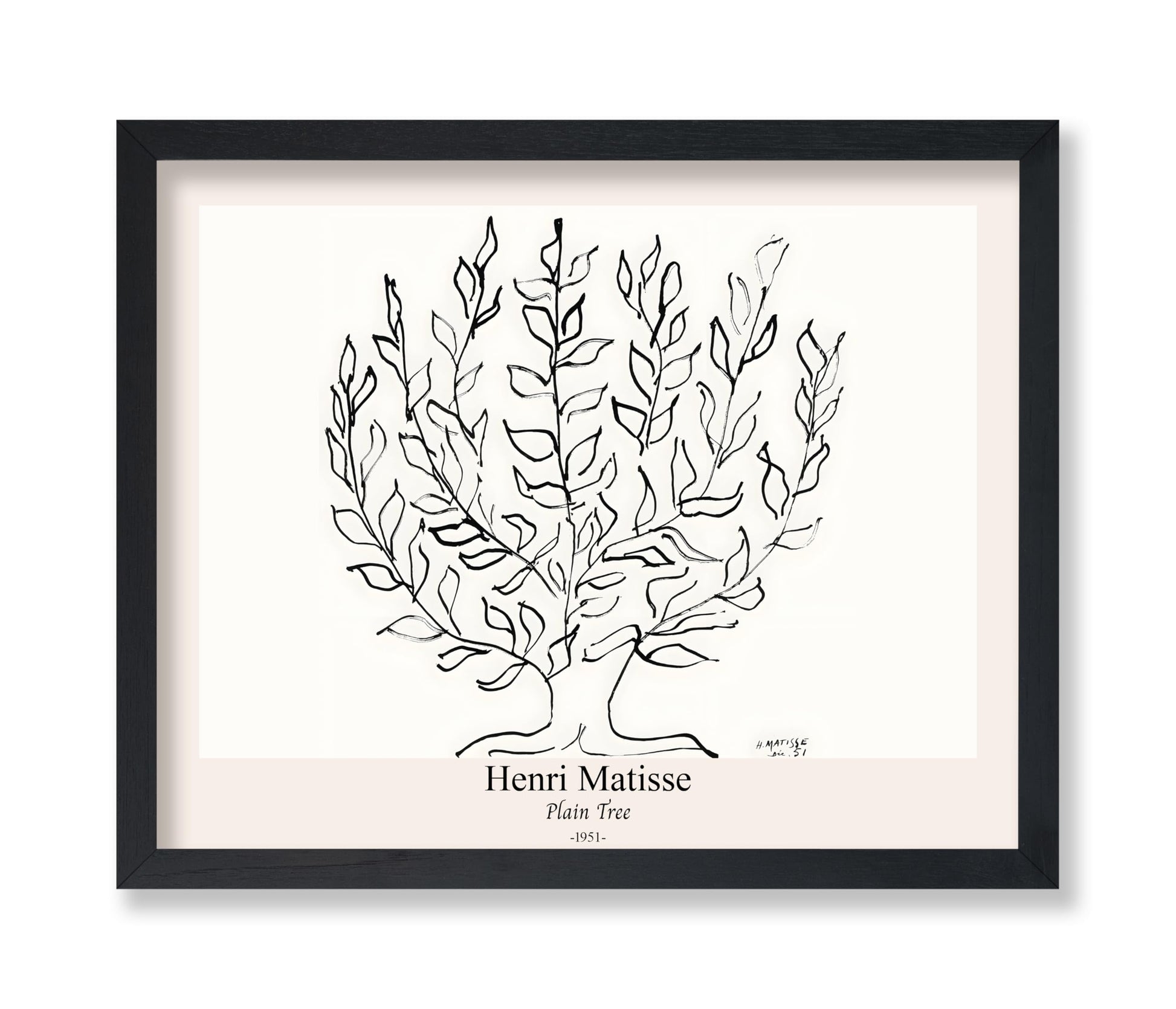 Henri Matisse - Plain Tree