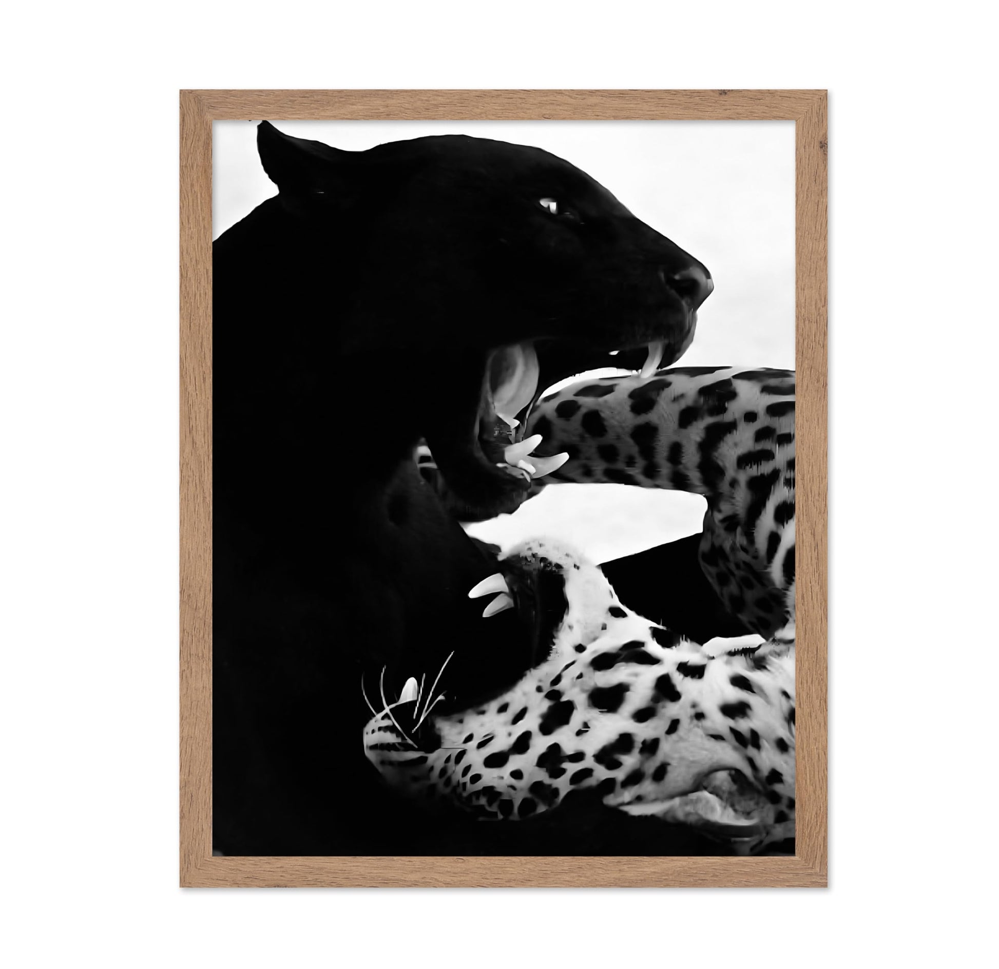 Wild Cats