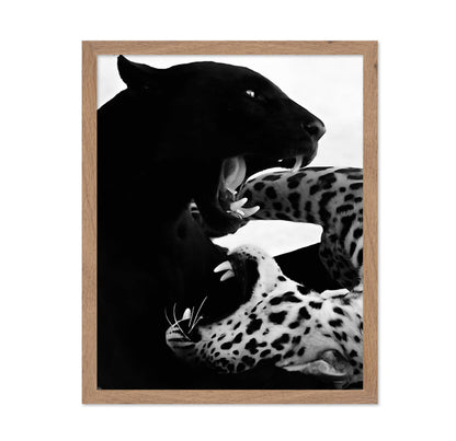 Wild Cats