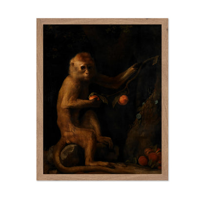 A Florida Park