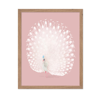 White Peacock