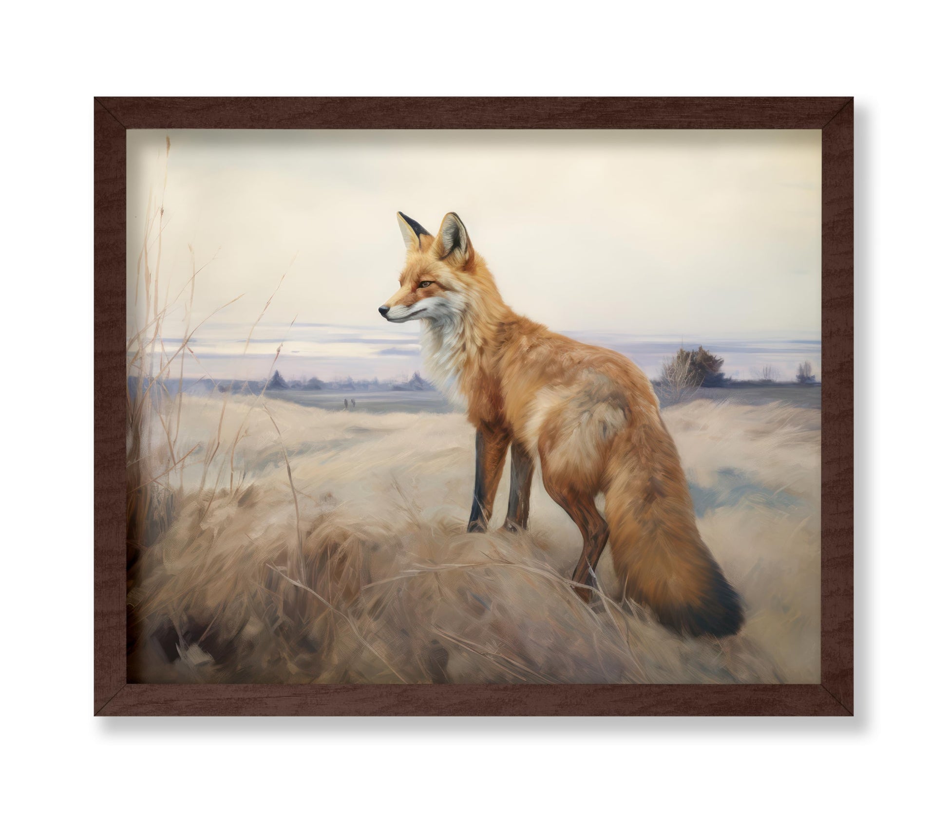 Fox Portrait No2