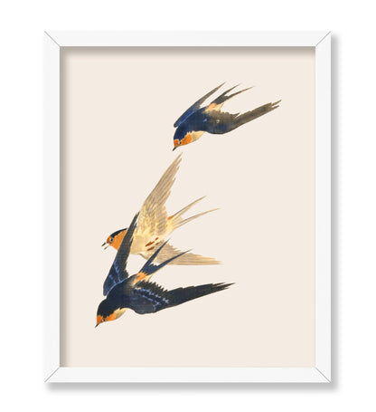Swallows in Flight