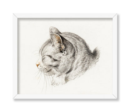 Sketch of A Cat